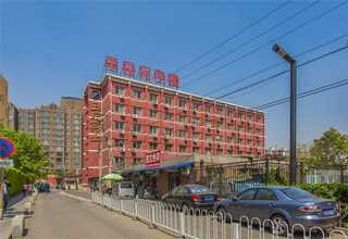 河北精品恐龙多少钱