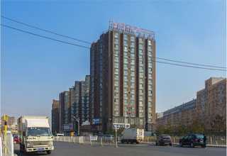 东丽区什么是打包带值得推荐