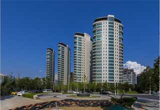 甘肃国标二甲苯作用